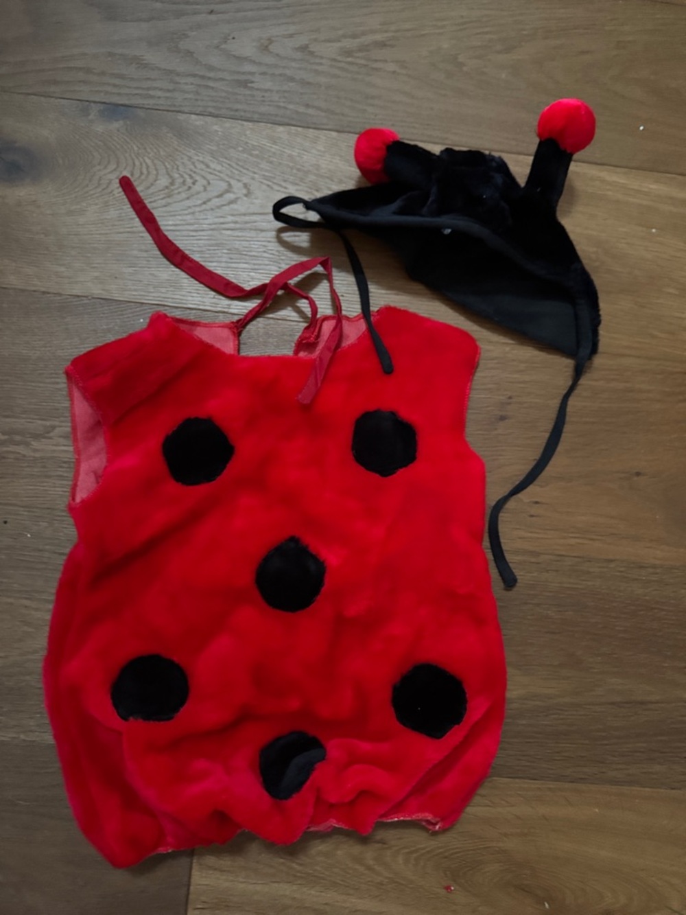 Red and Black Ladybug Kids Costume Vest with Antenna Hat
